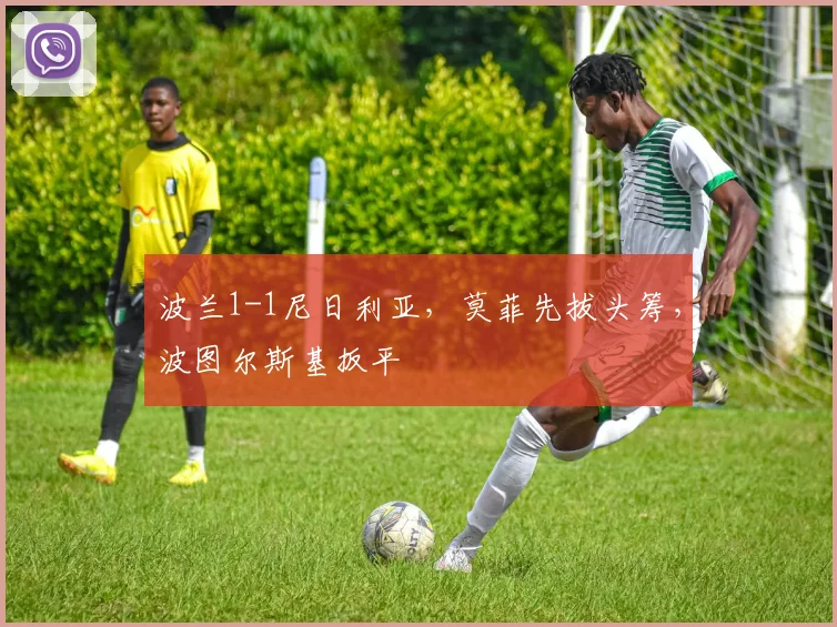 波兰1-1尼日利亚，莫菲先拔头筹，波图尔斯基扳平