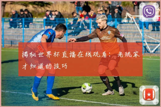 揭秘世界杯直播在线观看：老玩家才知道的技巧